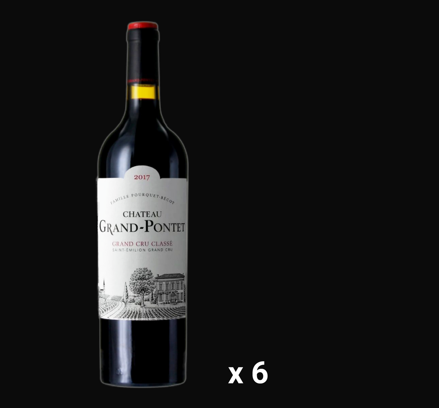 Chateau Grand-Pontet 2017 (6 bottles)