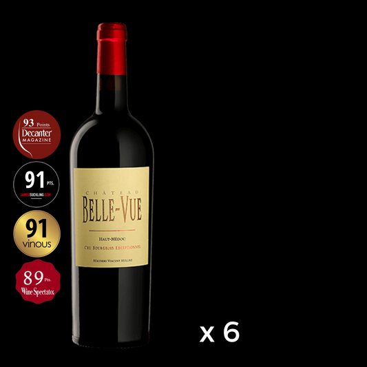 Chateau Belle-Vue 2019 (6 bottles)