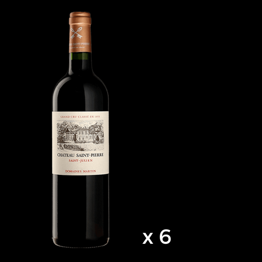 Chateau Saint-Pierre Saint Julien 2019 (6 bottles)