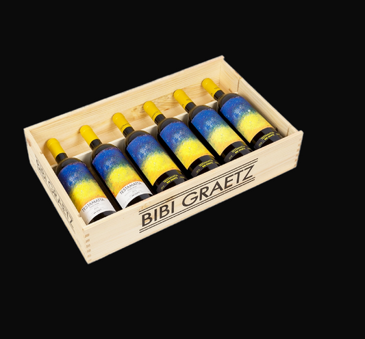 Bibi Graetz Testamatta Vertical Case