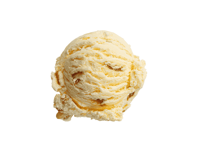 Kapiti Fig & Honey Ice Cream 5L
