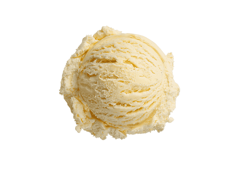 Kapiti Vanilla Bean Ice Cream 5L